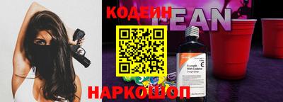 шишки Новодвинск