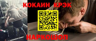 шишки Новодвинск