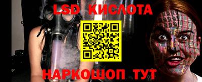 шишки Новодвинск