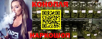 шишки Новодвинск