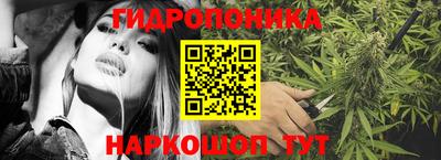 шишки Новодвинск