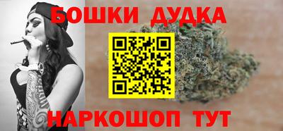 шишки Новодвинск