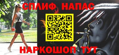 шишки Новодвинск