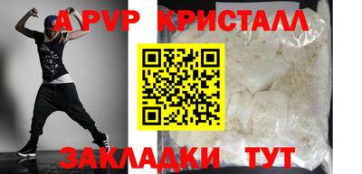 шишки Новодвинск