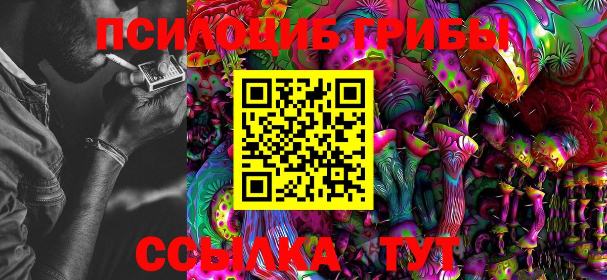 Псилоцибиновые грибы MAGIC MUSHROOMS Сокол