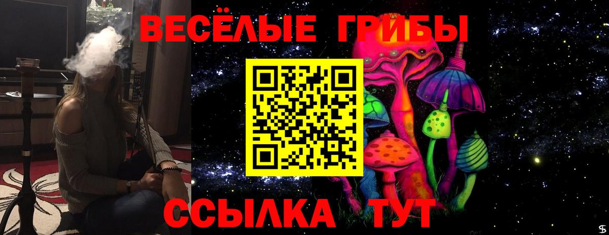 Сокол  Псилоцибиновые грибы GOLDEN TEACHER  Вход с VPN  Псилоцибиновые грибы Psilocybine cubensis 